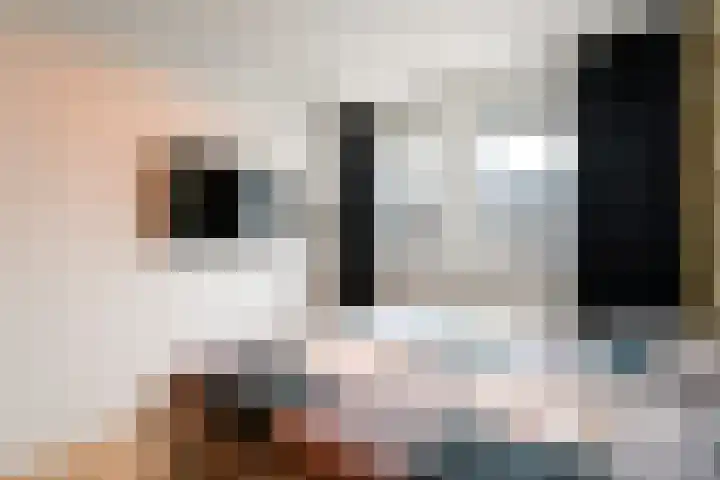 Distelvlinder 51 Wolvega thumbnail 12