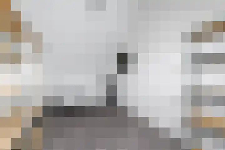 Distelvlinder 51 Wolvega thumbnail 24