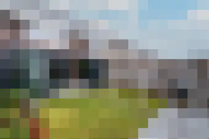 Distelvlinder 51 Wolvega thumbnail 28