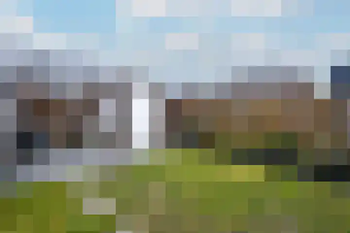 Distelvlinder 51 Wolvega thumbnail 30