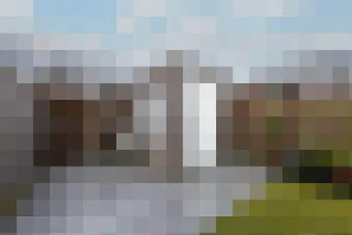 Distelvlinder 51 Wolvega thumbnail 32