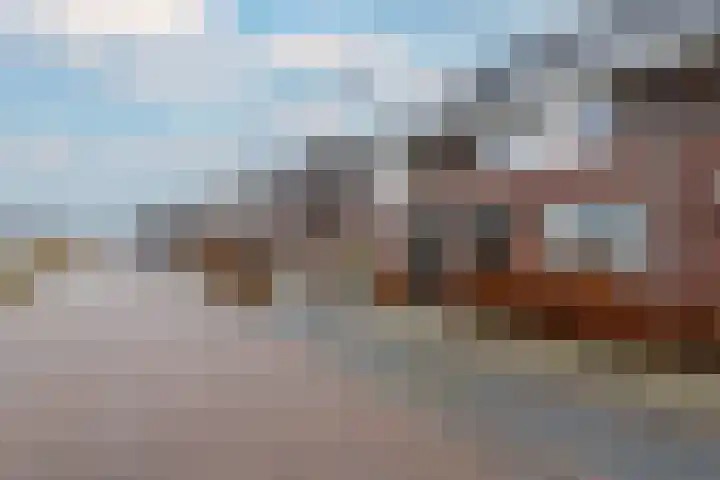 Distelvlinder 51 Wolvega thumbnail 33