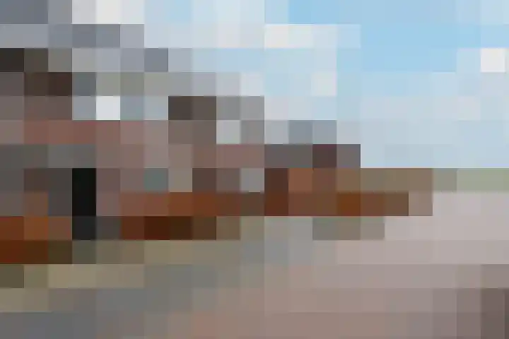 Distelvlinder 51 Wolvega thumbnail 34