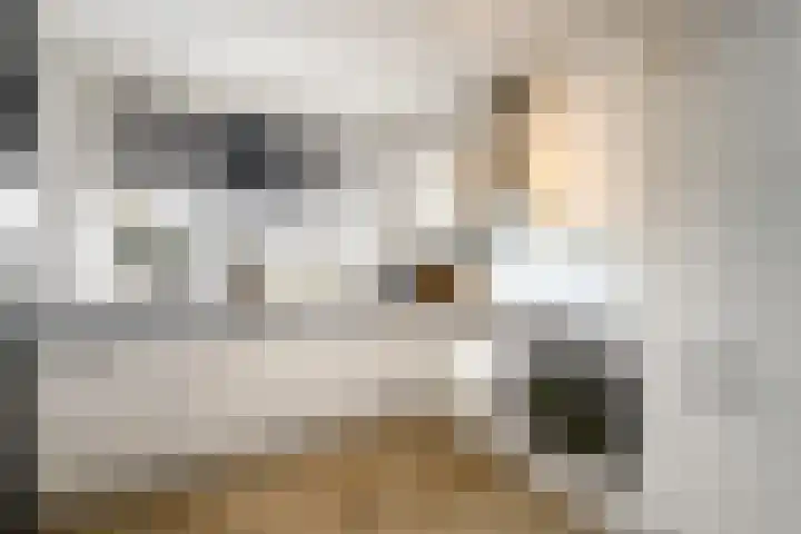 Distelvlinder 51 Wolvega thumbnail 6