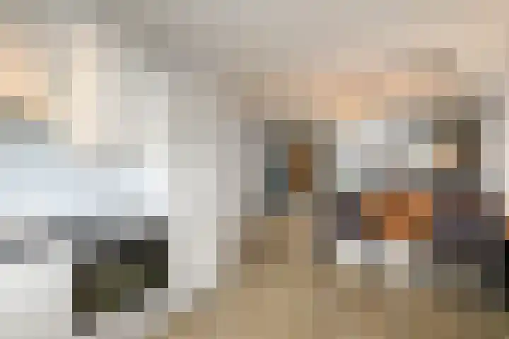 Distelvlinder 51 Wolvega thumbnail 9