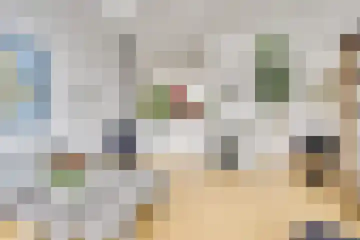 Distelvlinderberm 88 Houten thumbnail 16