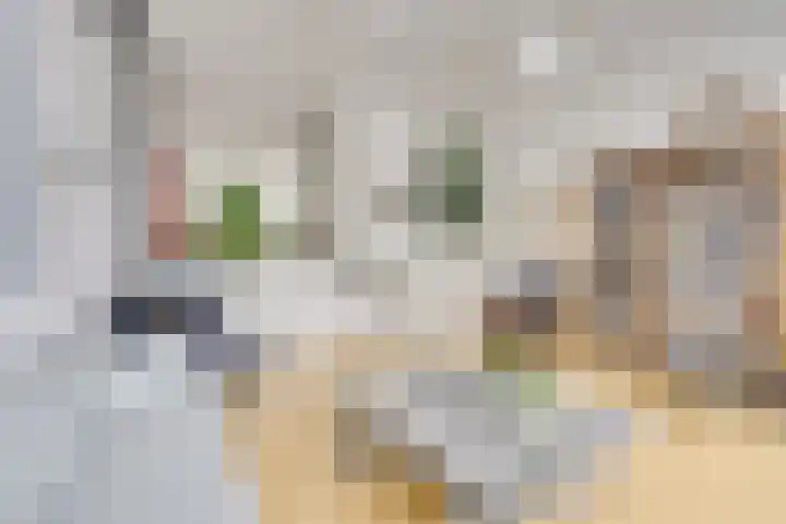 Distelvlinderberm 88 Houten thumbnail 18