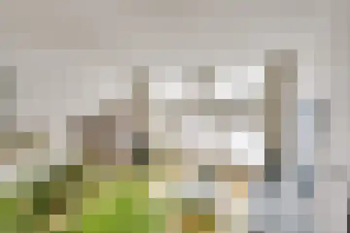 Distelvlinderberm 88 Houten thumbnail 19