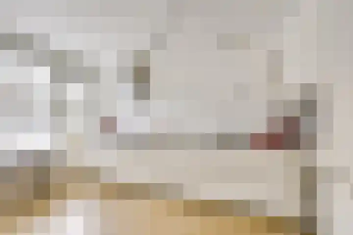 Distelvlinderberm 88 Houten thumbnail 22