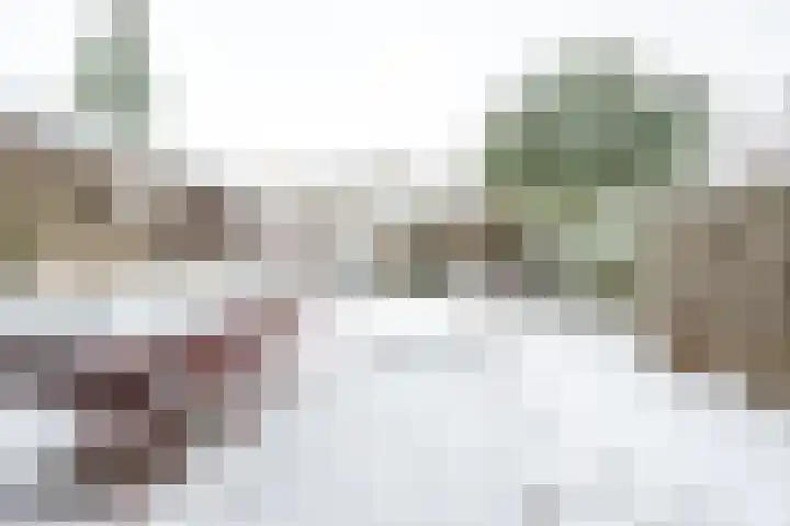 Distelvlinderberm 88 Houten thumbnail 25