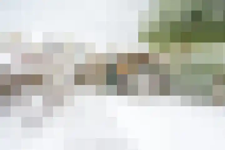 Distelvlinderberm 88 Houten thumbnail 26