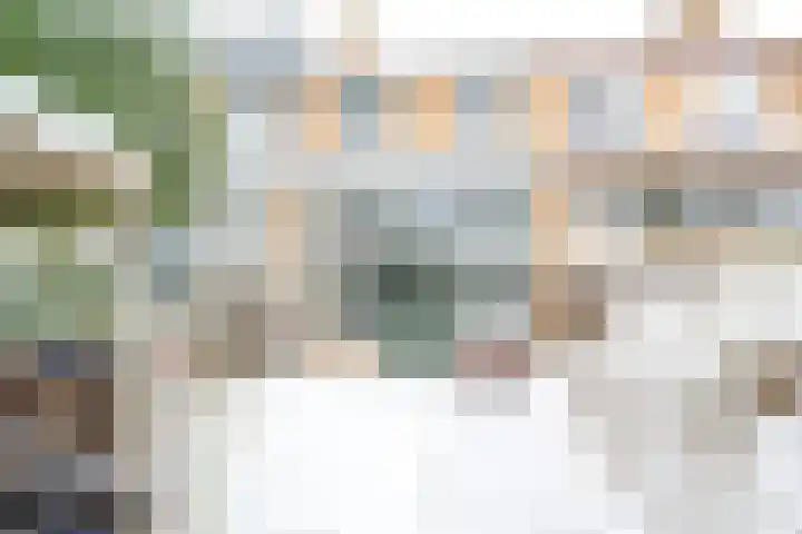 Distelvlinderberm 88 Houten thumbnail 27