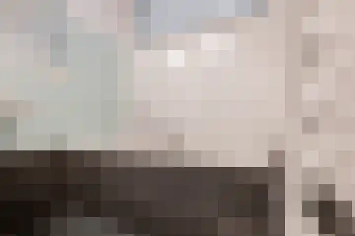 Distelvlinderberm 88 Houten thumbnail 33