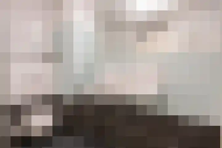 Distelvlinderberm 88 Houten thumbnail 35