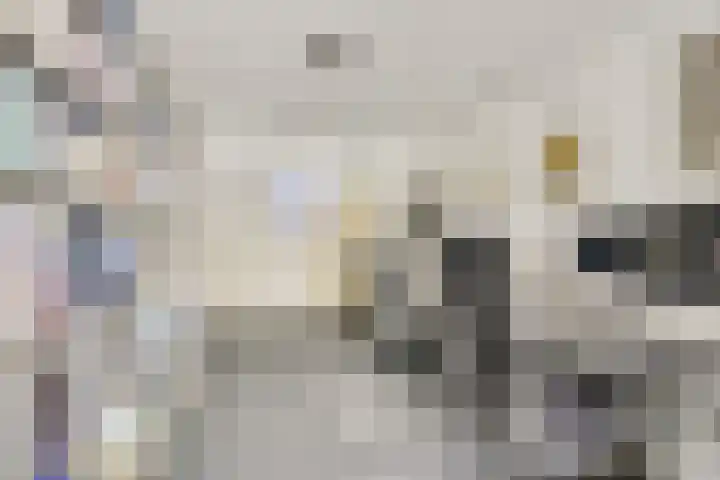 Distelvlinderberm 88 Houten thumbnail 4