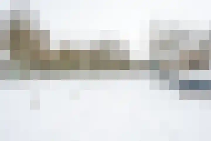 Distelvlinderberm 88 Houten thumbnail 47