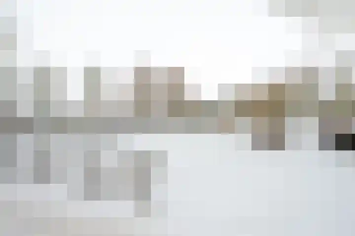 Distelvlinderberm 88 Houten thumbnail 52