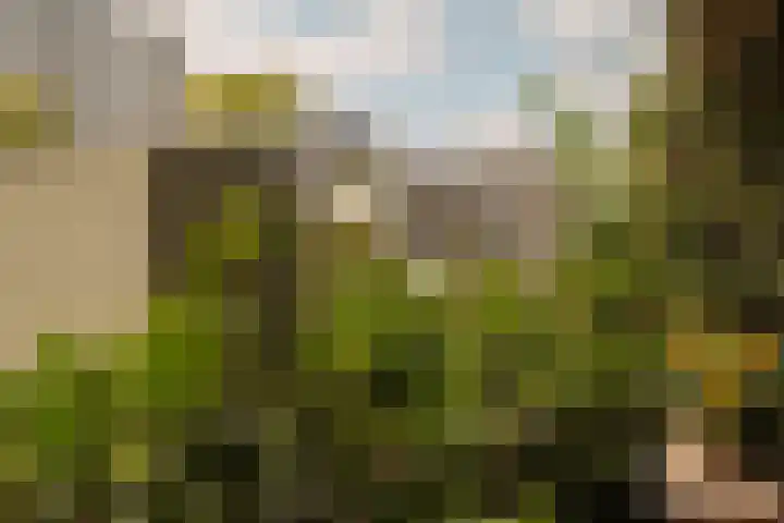 Distelweg 285 Amsterdam thumbnail 21