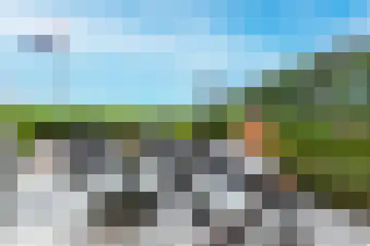 Kantoor foto van Disveld Makelaardij