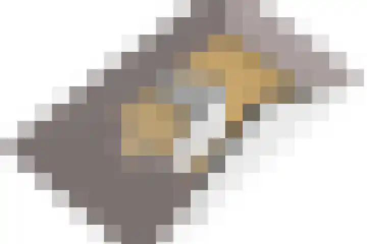 Team foto van Ditters - Ede