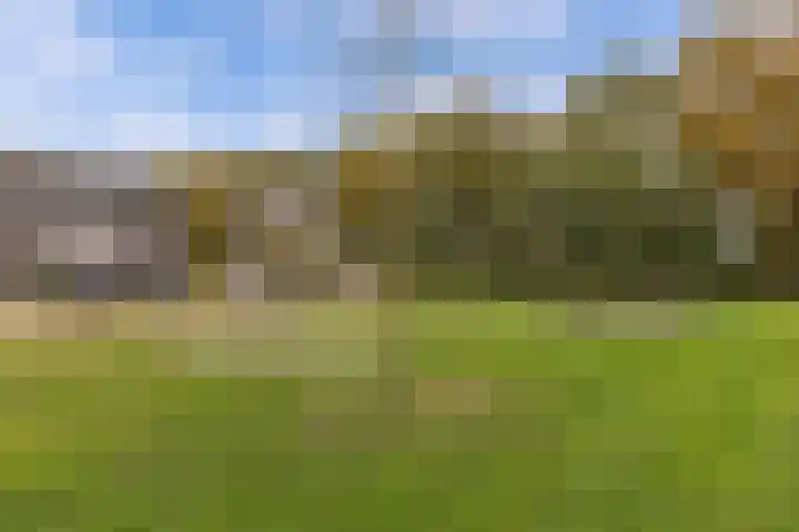 Divisie 35 Steenwijk thumbnail 30