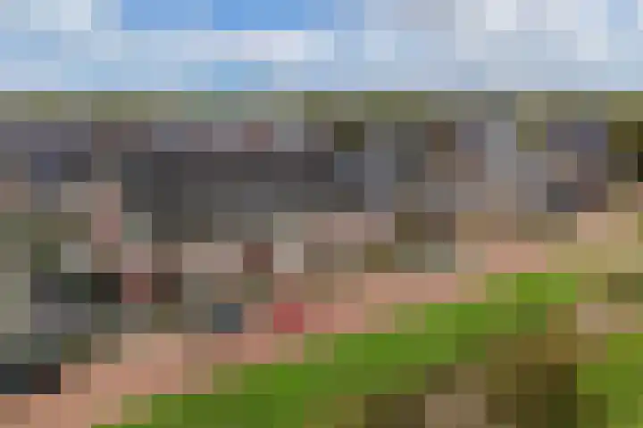 Divisie 35 Steenwijk thumbnail 31