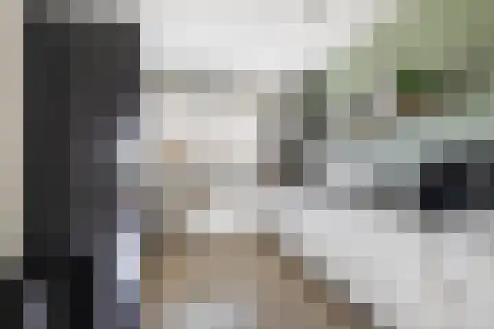 Divisie 35 Steenwijk thumbnail 9