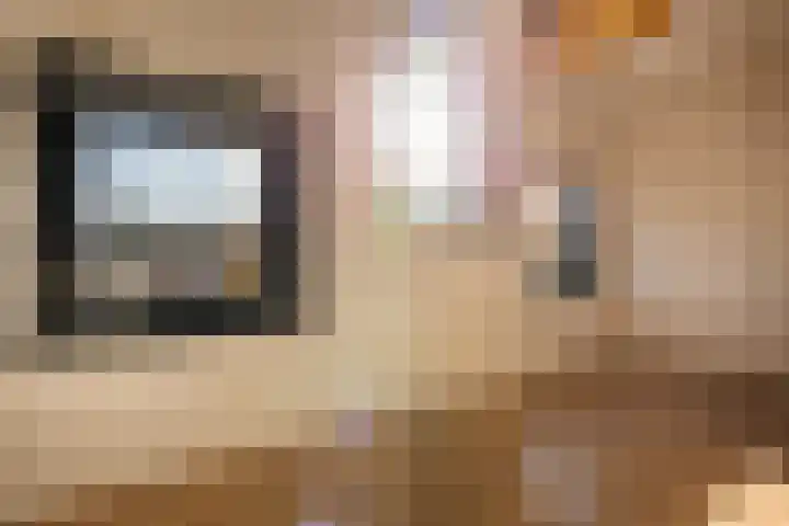 Dobbedreef 67 Leiden thumbnail 13