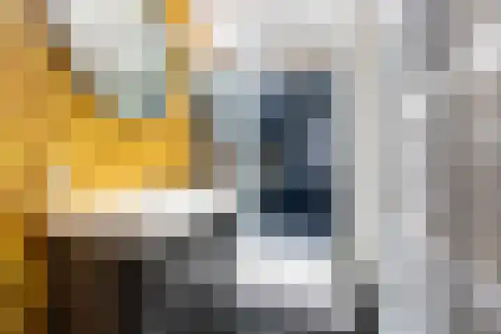 Dobbedreef 67 Leiden thumbnail 15