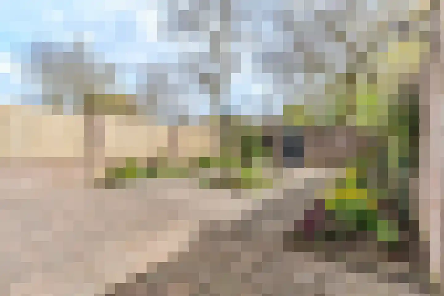 Dobbedreef 67 Leiden thumbnail 20
