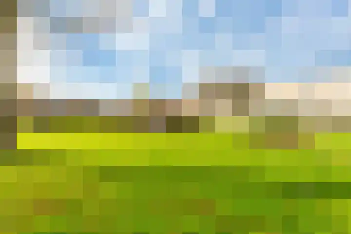 Dobbedreef 67 Leiden thumbnail 21