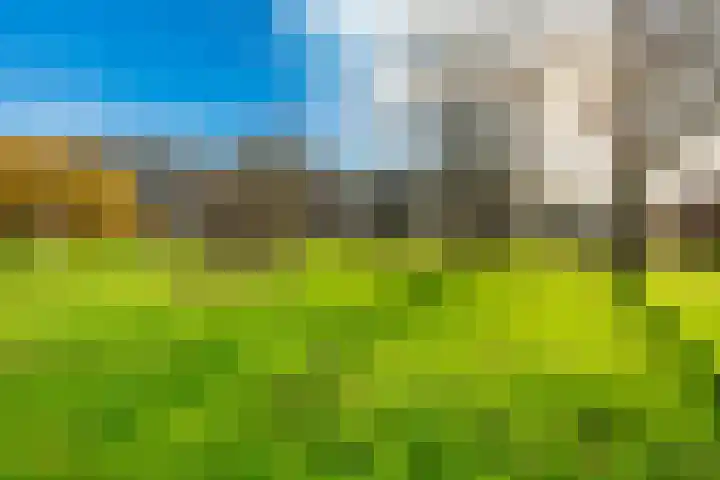 Dobbedreef 67 Leiden thumbnail 22