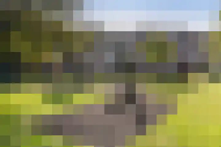 Dobbedreef 75 Leiden thumbnail 22