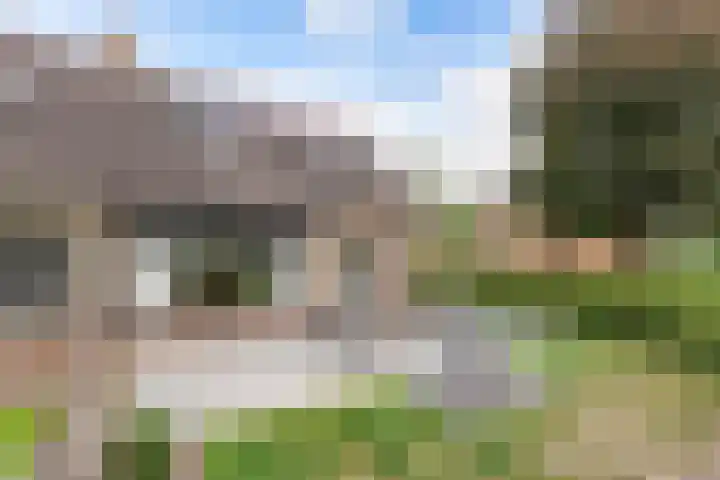 Dobbehôf 1 Menaam thumbnail 10