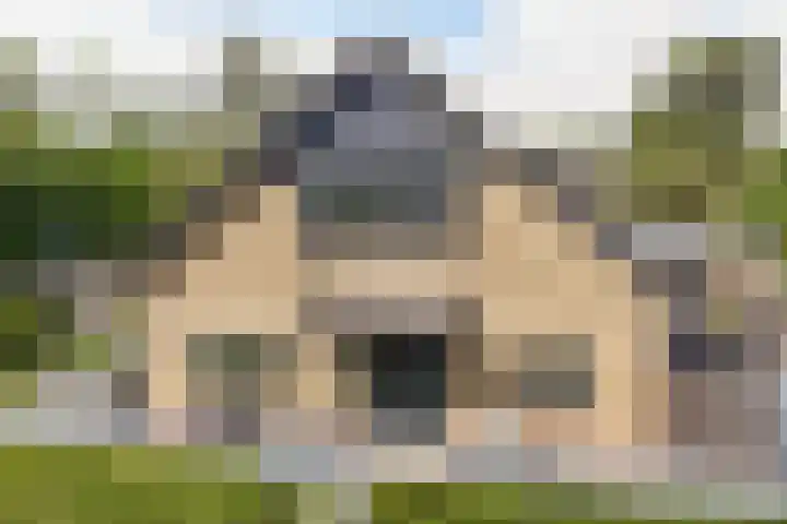 Dobbehôf 1 Menaam thumbnail 13