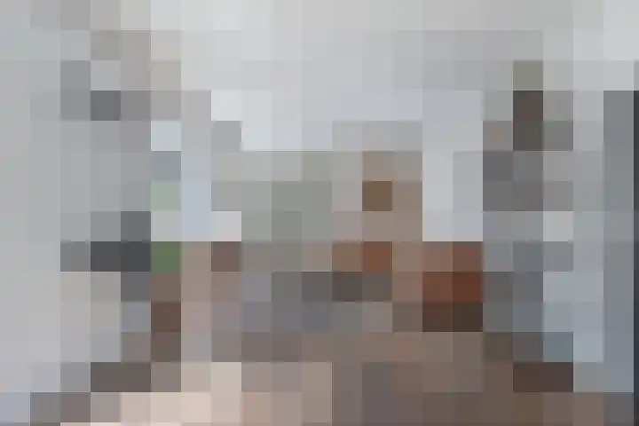 Dobbehôf 1 Menaam thumbnail 22
