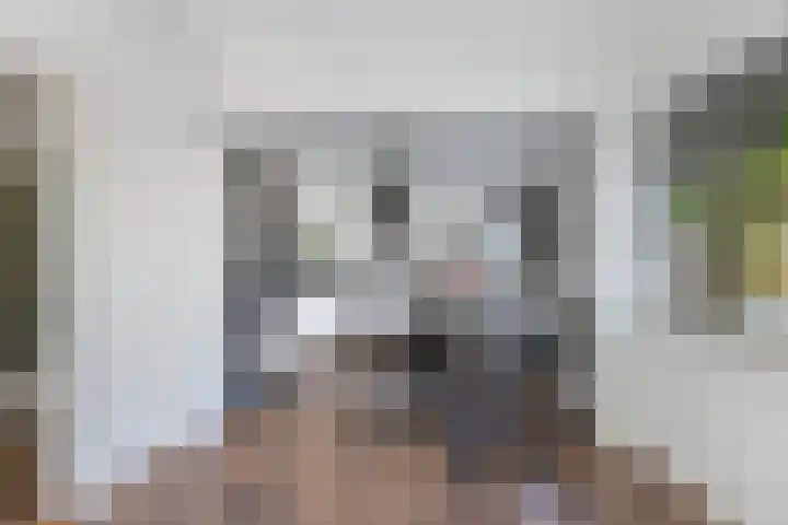 Dobbehôf 1 Menaam thumbnail 33