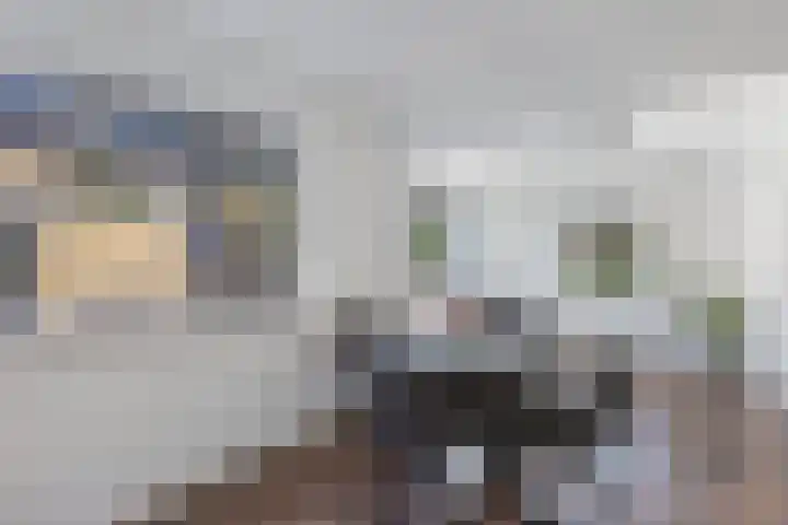 Dobbehôf 1 Menaam thumbnail 35