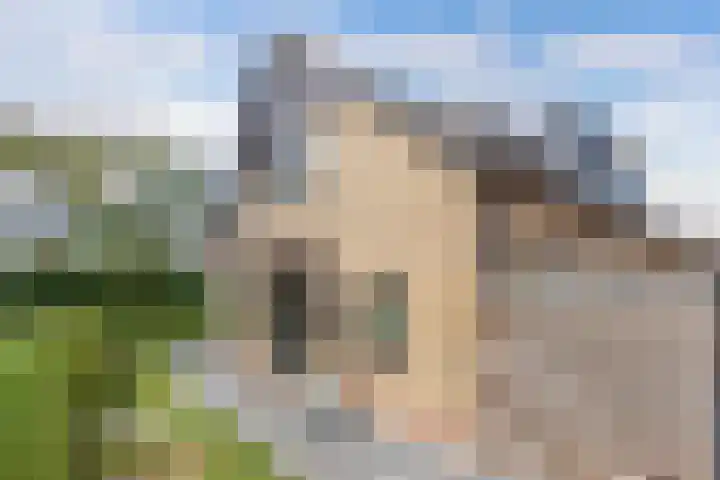 Dobbehôf 1 Menaam thumbnail 4