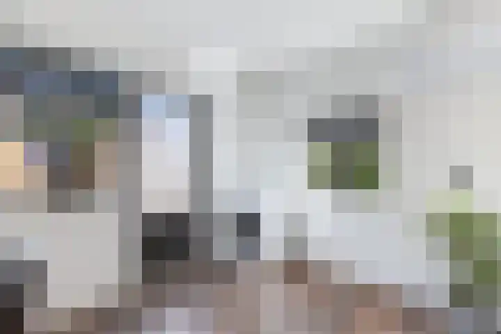 Dobbehôf 1 Menaam thumbnail 40