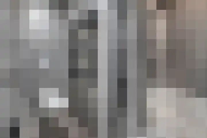 Dobbehôf 1 Menaam thumbnail 42