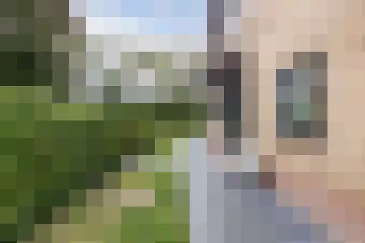 Dobbehôf 1 Menaam thumbnail 5