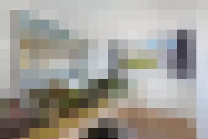 Dobbehôf 1 Menaam thumbnail 52