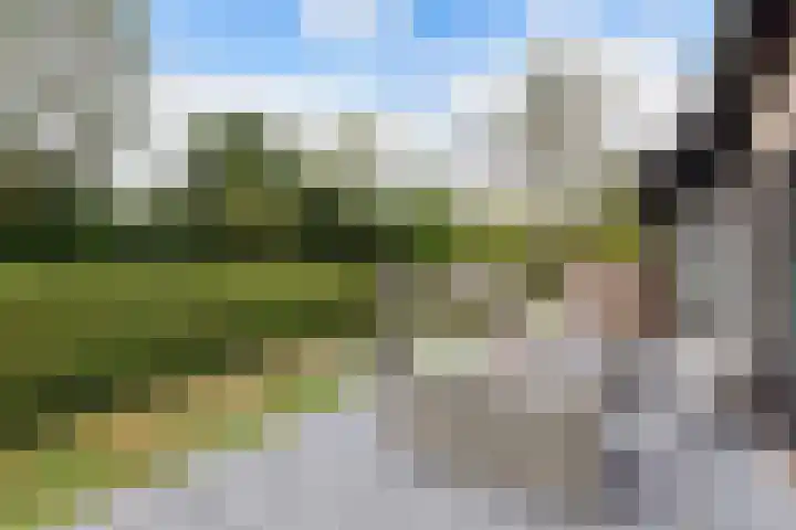 Dobbehôf 1 Menaam thumbnail 7