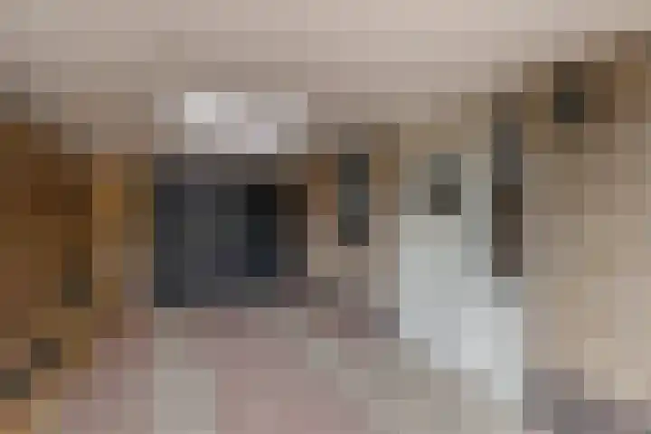 Dobbehôf 15 Menaam thumbnail 10
