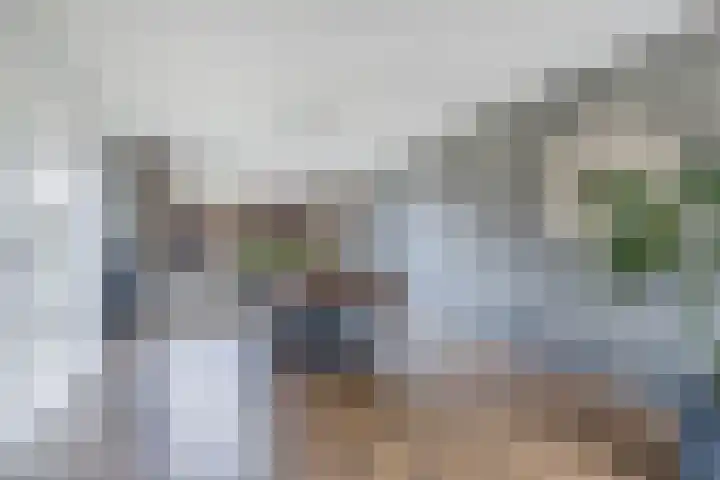 Dobbehôf 15 Menaam thumbnail 16