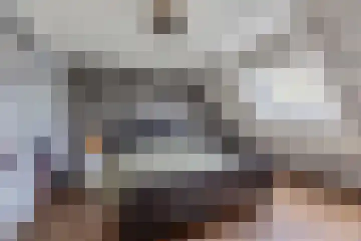 Dobbehôf 15 Menaam thumbnail 28