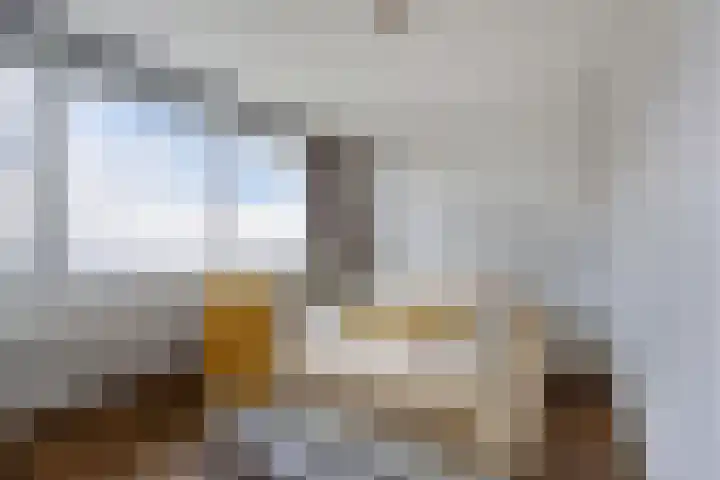 Dobbehôf 15 Menaam thumbnail 30