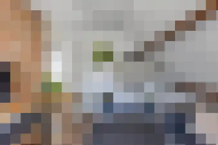 Dobbehôf 15 Menaam thumbnail 34
