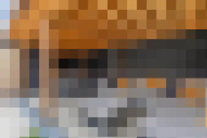 Dobbehôf 15 Menaam thumbnail 40